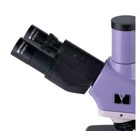 MAGUS Bio D250T LCD, image-12