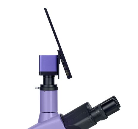 MAGUS Bio D250T LCD, image-24