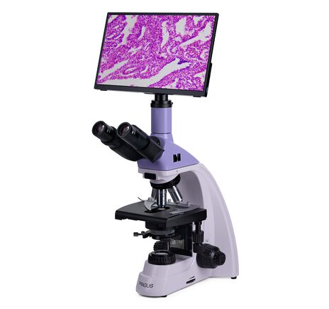 MAGUS Bio D250T LCD, image-2