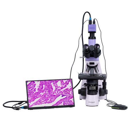 MAGUS Bio D250TL LCD, image-6