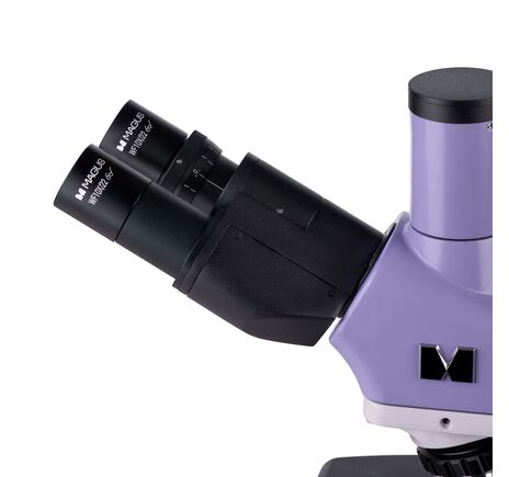 MAGUS Bio D250TL LCD, image-12