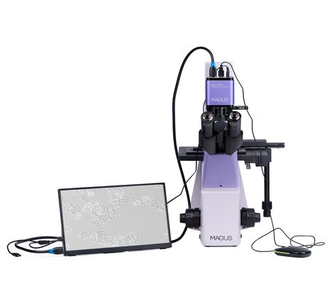 MAGUS Bio VD300 LCD, image-5