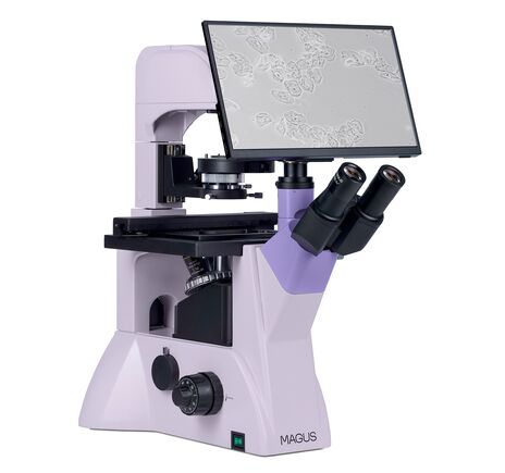 MAGUS Bio VD350 LCD, image-3