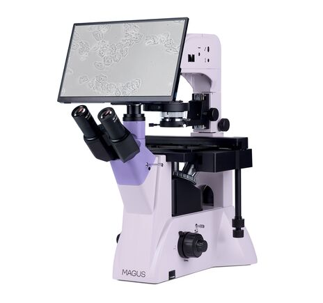 MAGUS Bio VD350 LCD, image-2