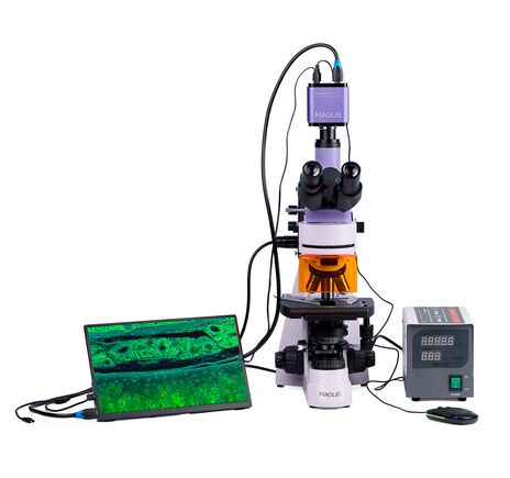 MAGUS Lum D400 LCD, image-5