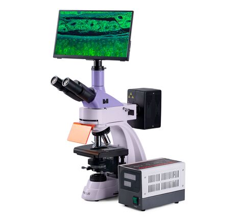 MAGUS Lum D400 LCD, image-2