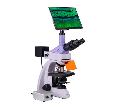 MAGUS Lum D400L LCD, image-3