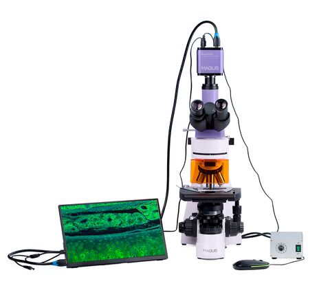 MAGUS Lum D400L LCD, image-5