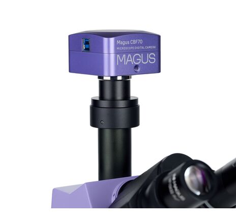 MAGUS Pol D800, image-17