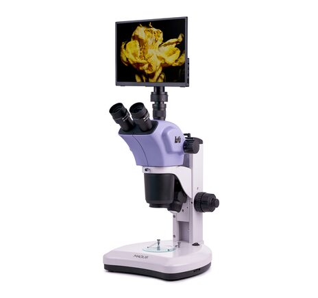 MAGUS Stereo D9T LCD, image-2