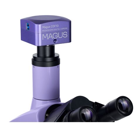 MAGUS Bio D230TL, image-21