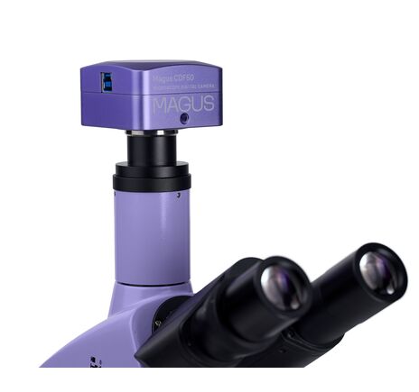 MAGUS Bio D250T, image-25