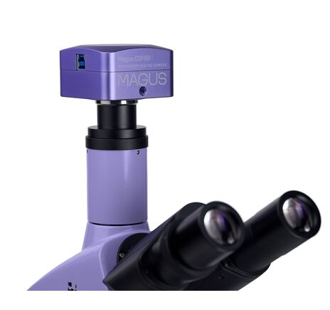 MAGUS Bio D250TL, image-24