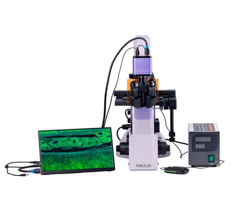 MAGUS Lum VD500 LCD, image-5