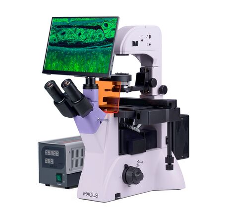 MAGUS Lum VD500 LCD, image-2