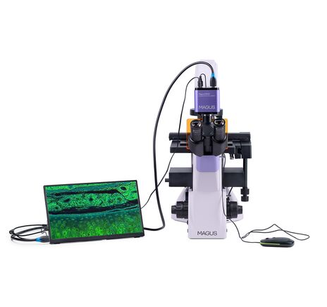 MAGUS Lum VD500L LCD, image-5