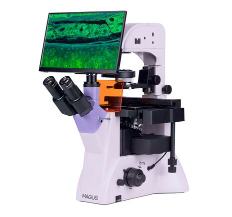 MAGUS Lum VD500L LCD, image-2