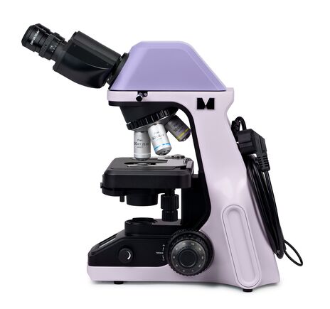 MAGUS Bio 240B, image-2