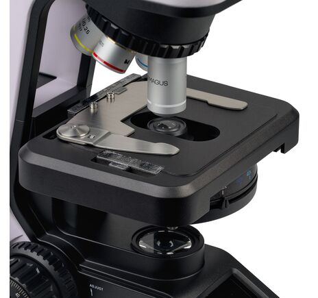 MAGUS Bio 240B, image-9