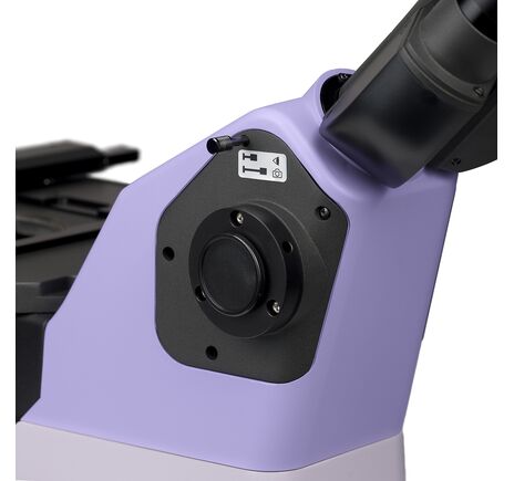 MAGUS Bio V360, image-20