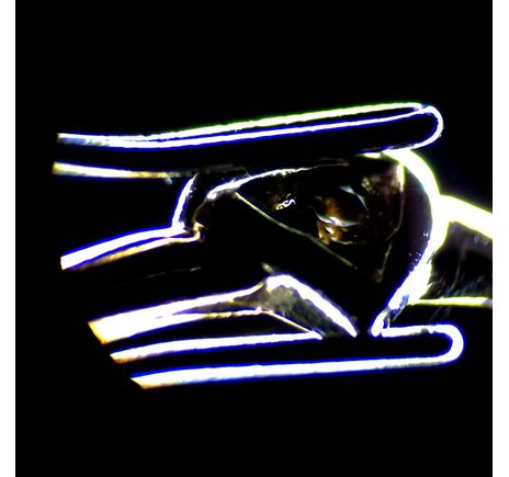 MAGUS Stereo 7T, image-17