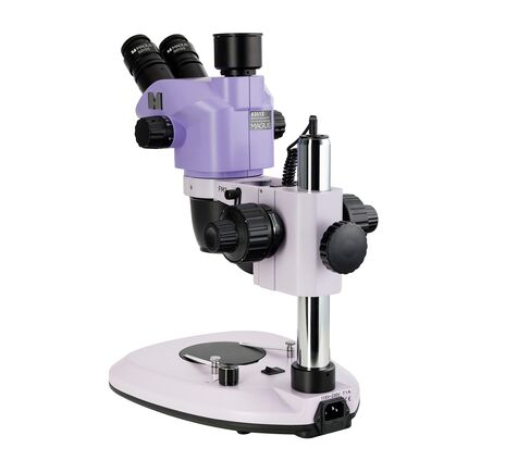 MAGUS Stereo 8T, image-2