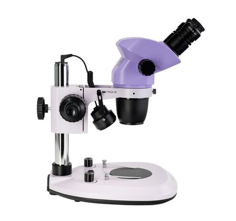 MAGUS Stereo 8B, image-5