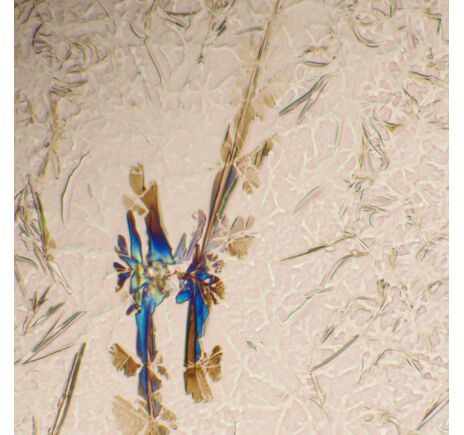 MAGUS Bio 290T, image-24