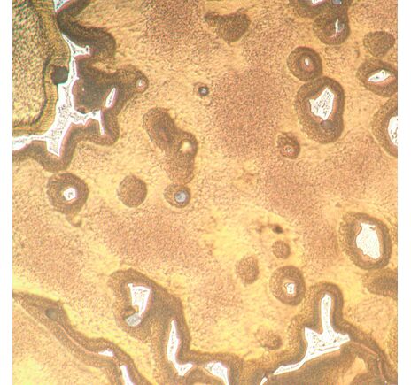 MAGUS Metal V790 DIC, image-11