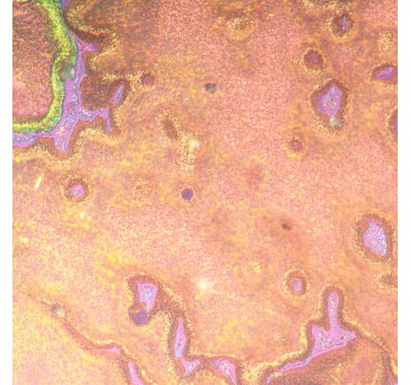 MAGUS Metal V790 DIC, image-21