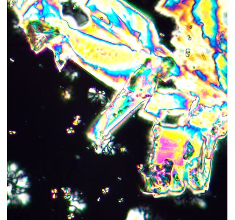 MAGUS Pol 890, image-24