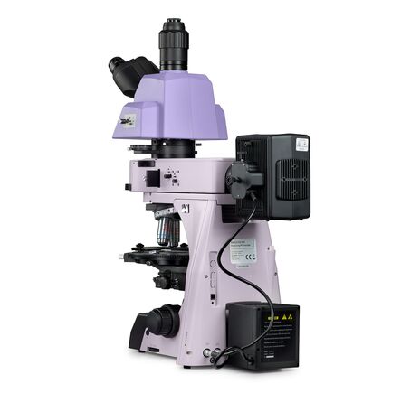 MAGUS Pol 890, image-3