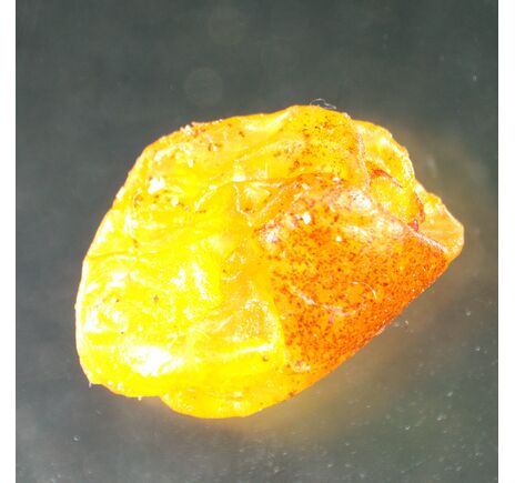 MAGUS Stereo A8, image-14