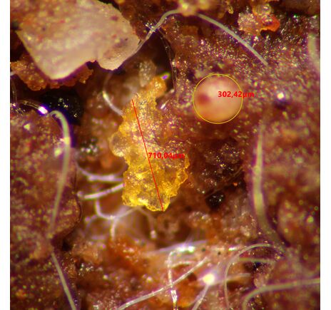 MAGUS Stereo A10, image-14