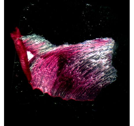 MAGUS Stereo A18T, image-2