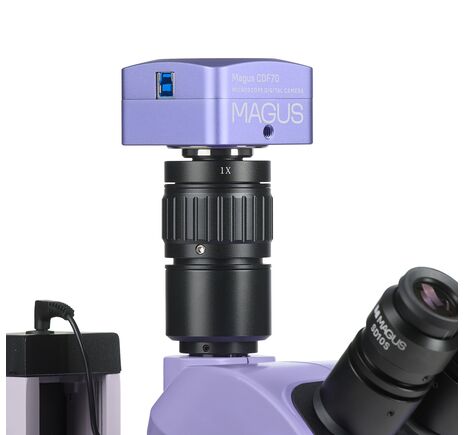 MAGUS Stereo D7T PLUS, image-3