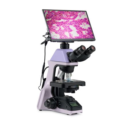 MAGUS Bio D240T LCD, image-2