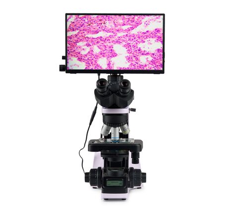 MAGUS Bio D240T LCD, image-3