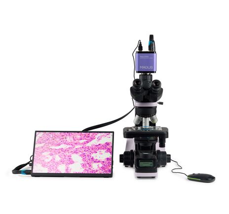 MAGUS Bio D240T LCD, image-4