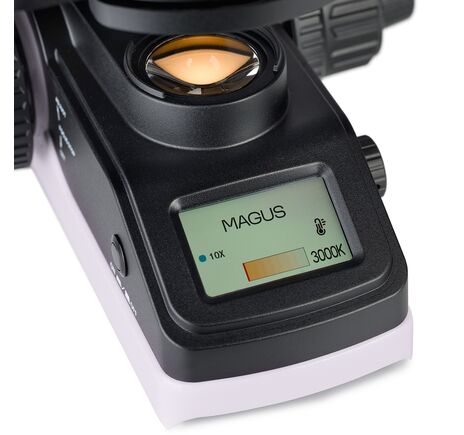 MAGUS Bio D240T LCD, image-19