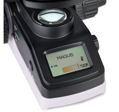 MAGUS Bio D240T LCD, image-20