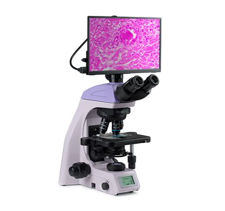 MAGUS Bio D260T LCD, image-2