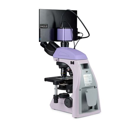 MAGUS Bio D260T LCD, image-4