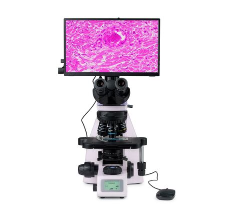 MAGUS Bio D260T LCD, image-7