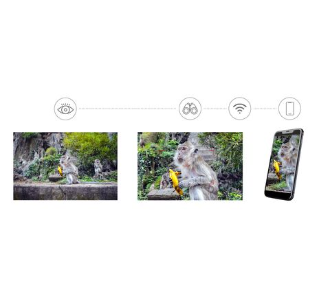 Levenhuk Kelvin Snap ED 8x42 digitálny fotobinokulár, image-8