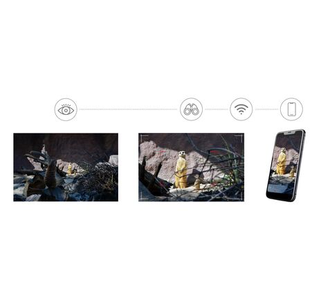 Levenhuk Kelvin Snap ED 8x42 digitálny fotomonokulár, image-4