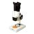 Mikroskop Levenhuk 2ST, binokulárny