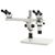 Euromex Zoom-stereomikroskop DZ.1604, binokulárny, dvojitý hlavový systém, 8–50x