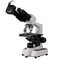 Binokulárny mikroskop BRESSER Researcher + MikroCam SF UHD