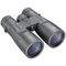 Bushnell Fernglas Endurance ED 10x42 Green